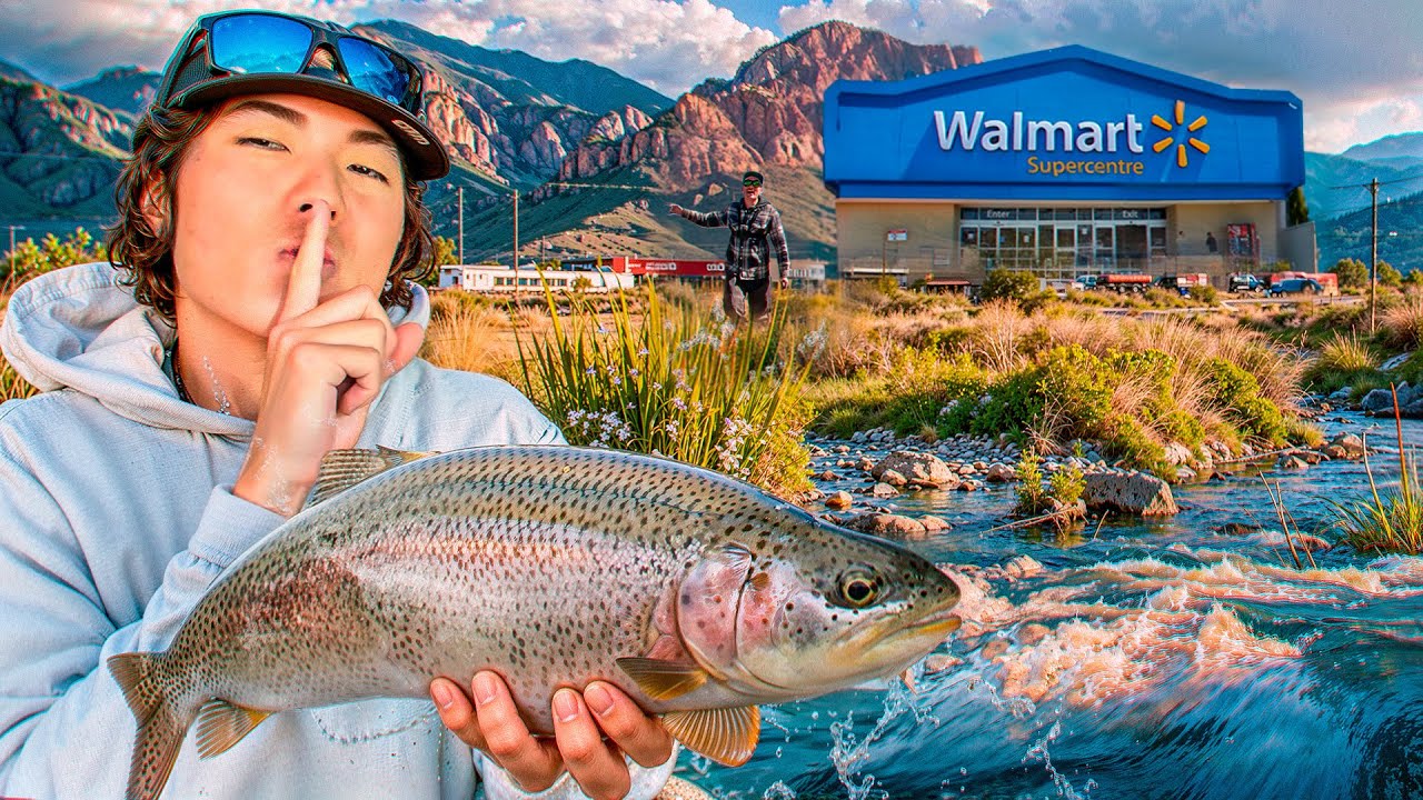 Walmart Trout Challenge за 25 долларов (Калифорнийские Сьерры)