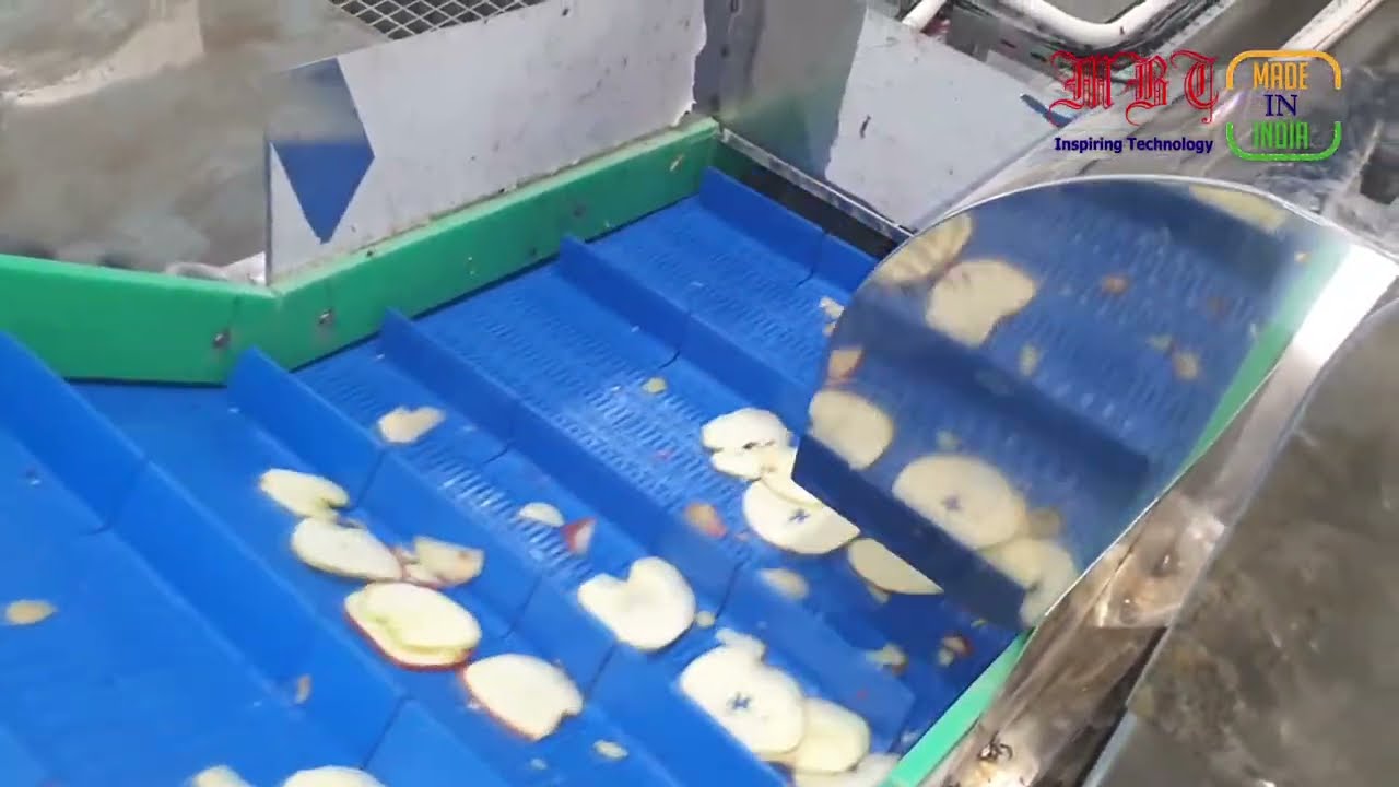 Apple Dry Chips - Dehydrated Apple Slices Processing By Mahatma Brijmohan Technicals, India