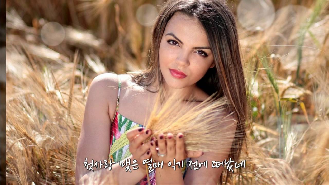 김태정 카츄샤