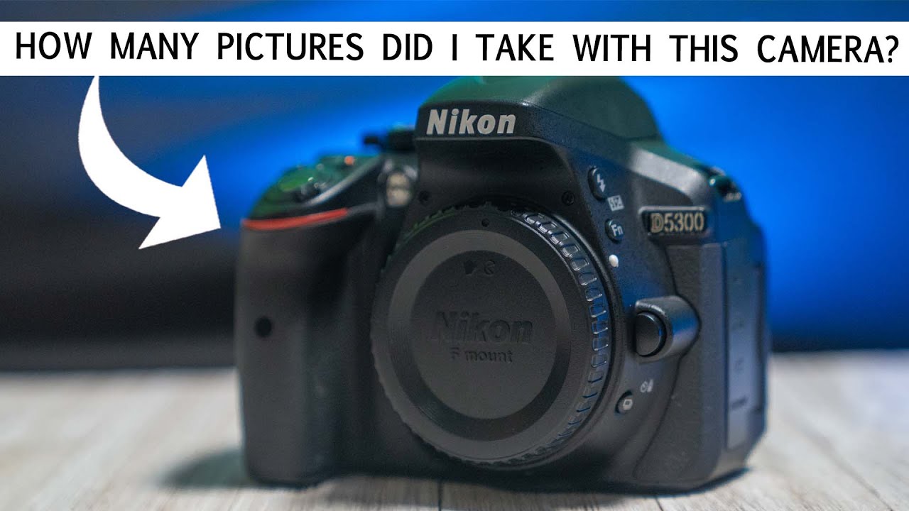 Как проверить количество срабатываний затвора на камере Nikon