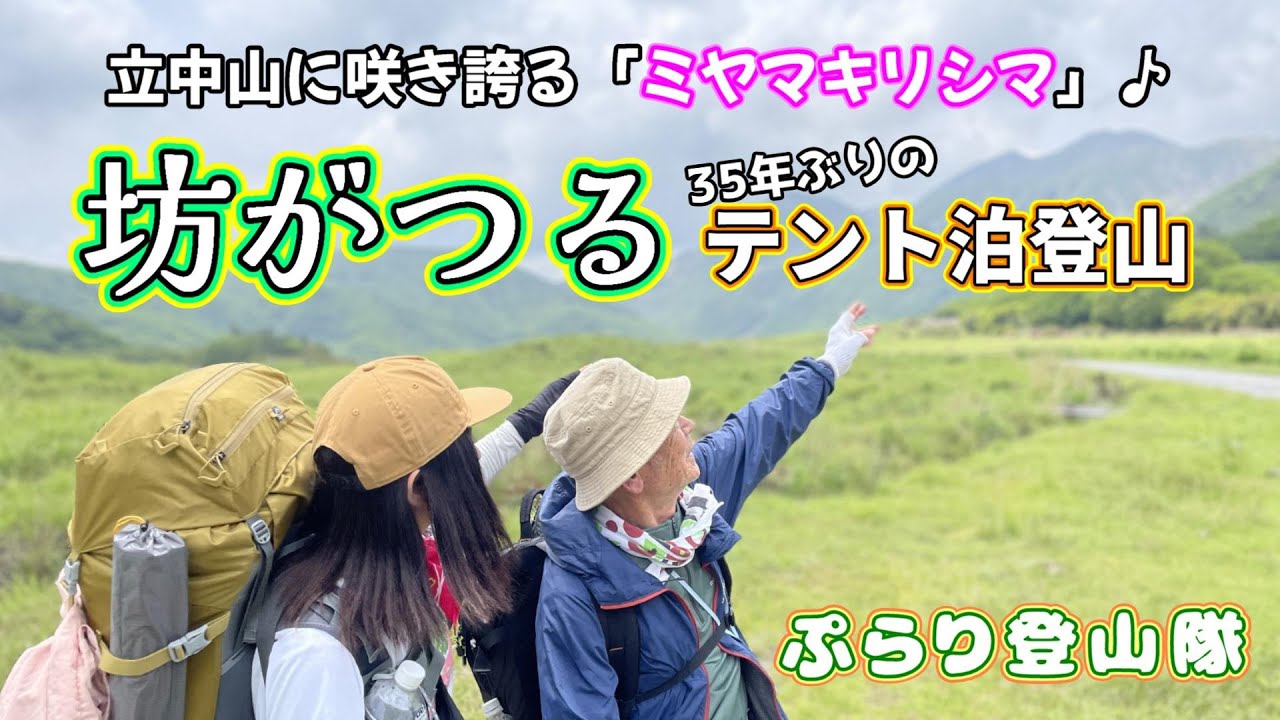 【テント泊登山】『35年ぶりの坊がつるテント泊』と『ミヤマキリシマ』を楽しむぞ٩( ''ω'' )و