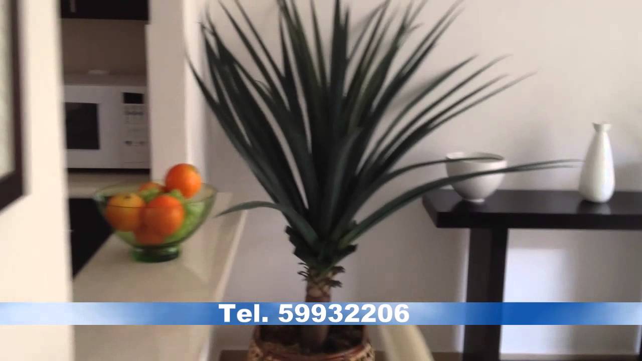 Casas ARA - Modelo Tabachines - Toluca