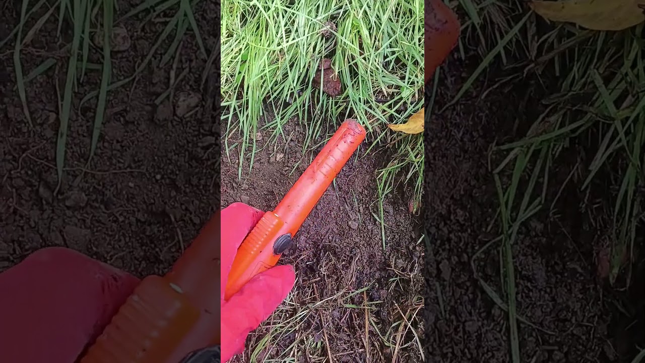 #altınarama #metaldetecting #metaldetector #shorts