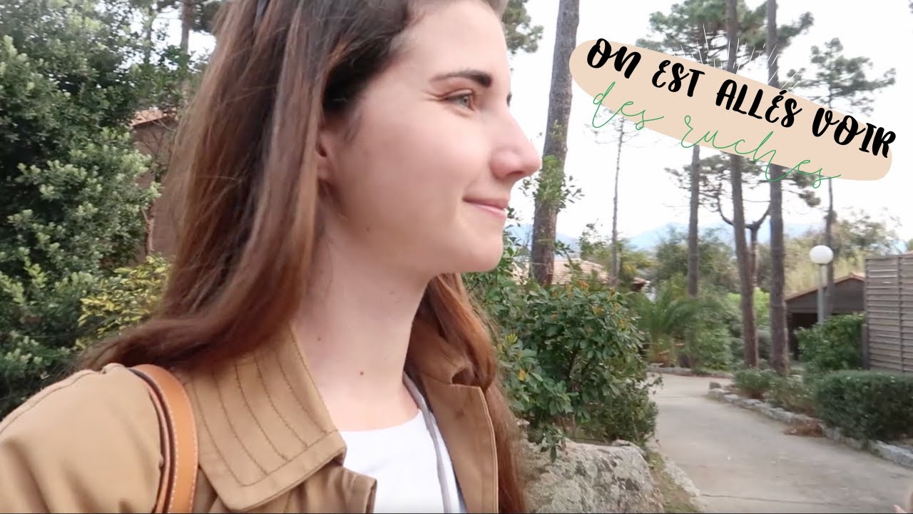 ON EST ALLÉS VOIR DES RUCHES - VLOG VACANCES