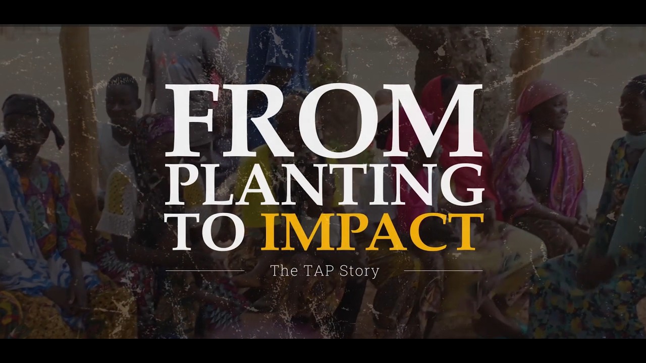 From planting to impact (The TAP Story)