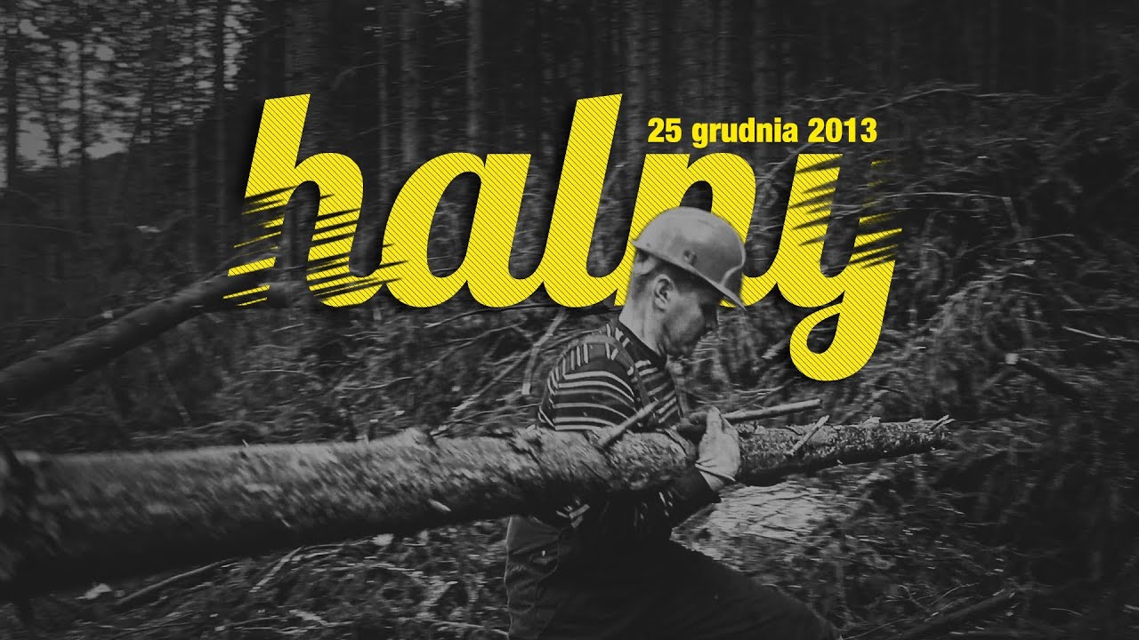 WIATR HALNY 25 grudnia 2013 - skutki wichury