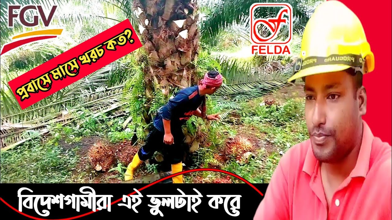Daily Vlog Video 13 | পাম বাগান মালয়েশিয়া | প্রবাস তথ্য ও কাজ | প্রবাসীর ইনকাম ও খরচ ইত্যাদি