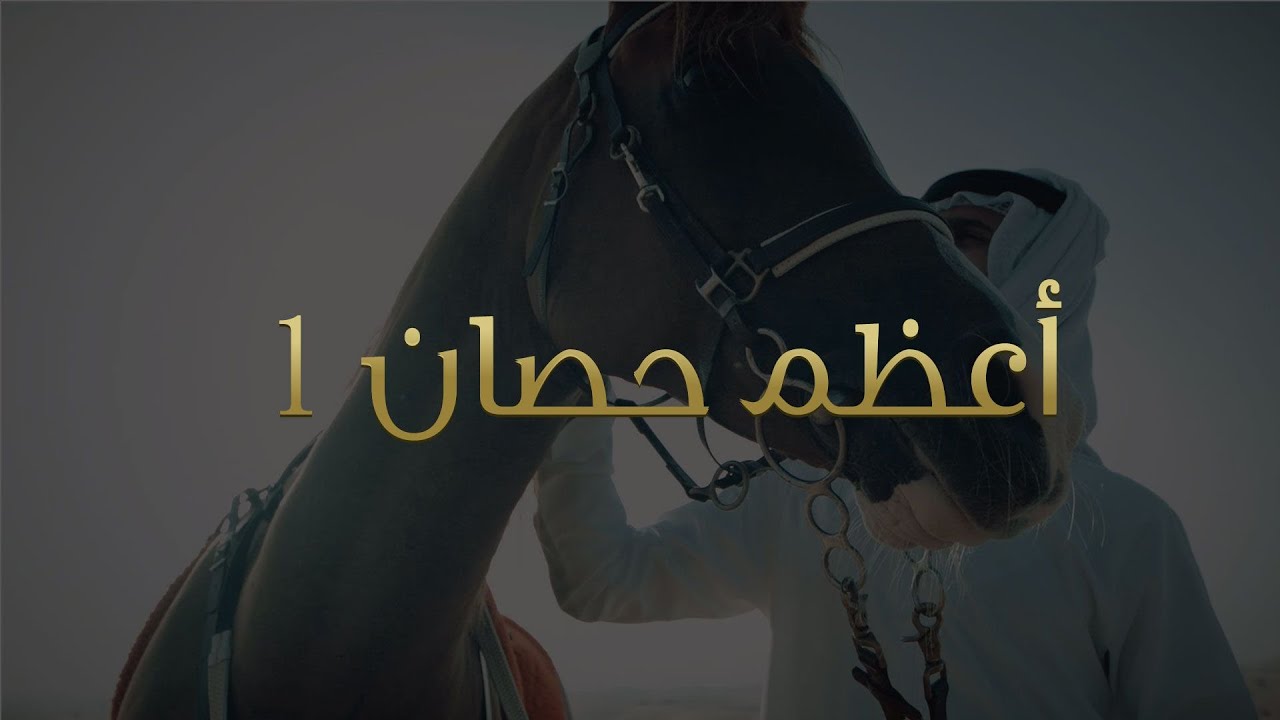 S1 EP 07 | The Finest Horse in the World | الحلقة 07 | أعظم حصان ١