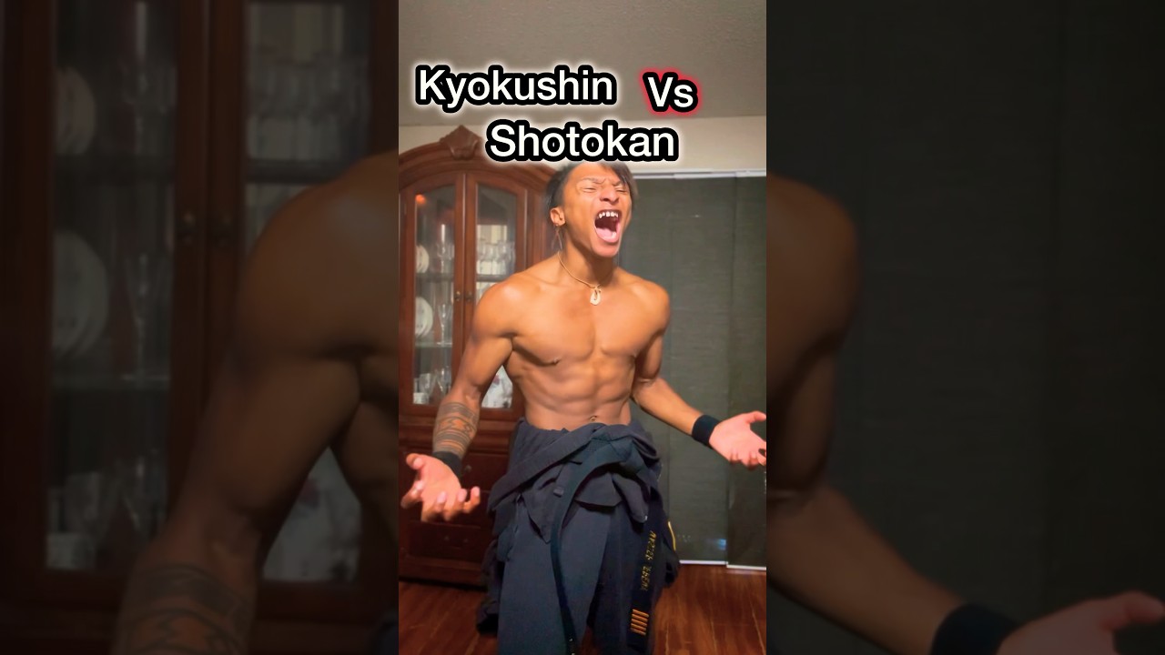 Shotokan vs Kyokushin Karate! #karate #shorts