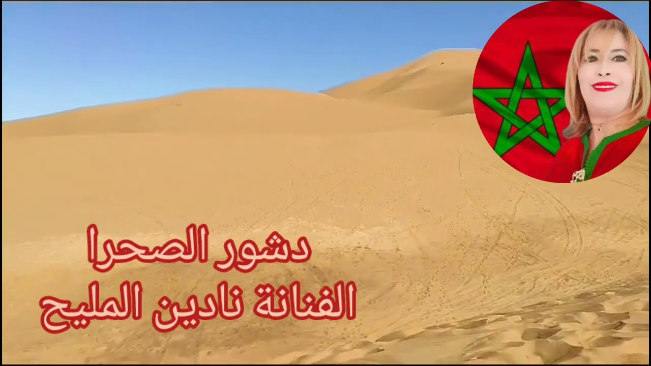 الفنانة نادين المليح في عمل وطني 