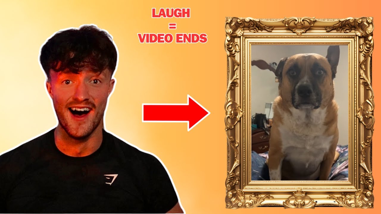 TRY NOT TO LAUGH