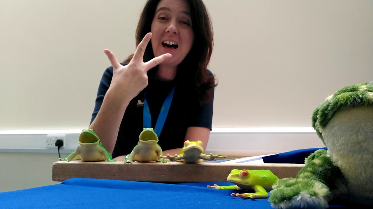 5 little speckled frogs