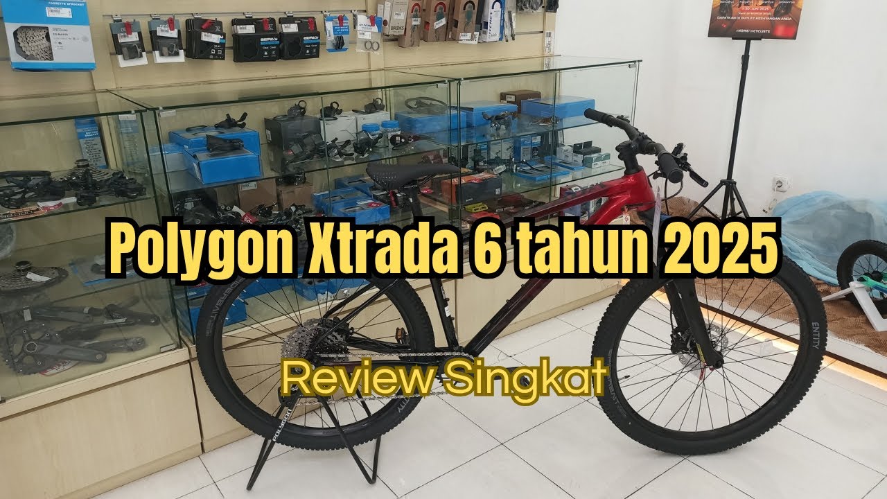 Review singkat Polygon Xtrada 6 seri tahun 2025