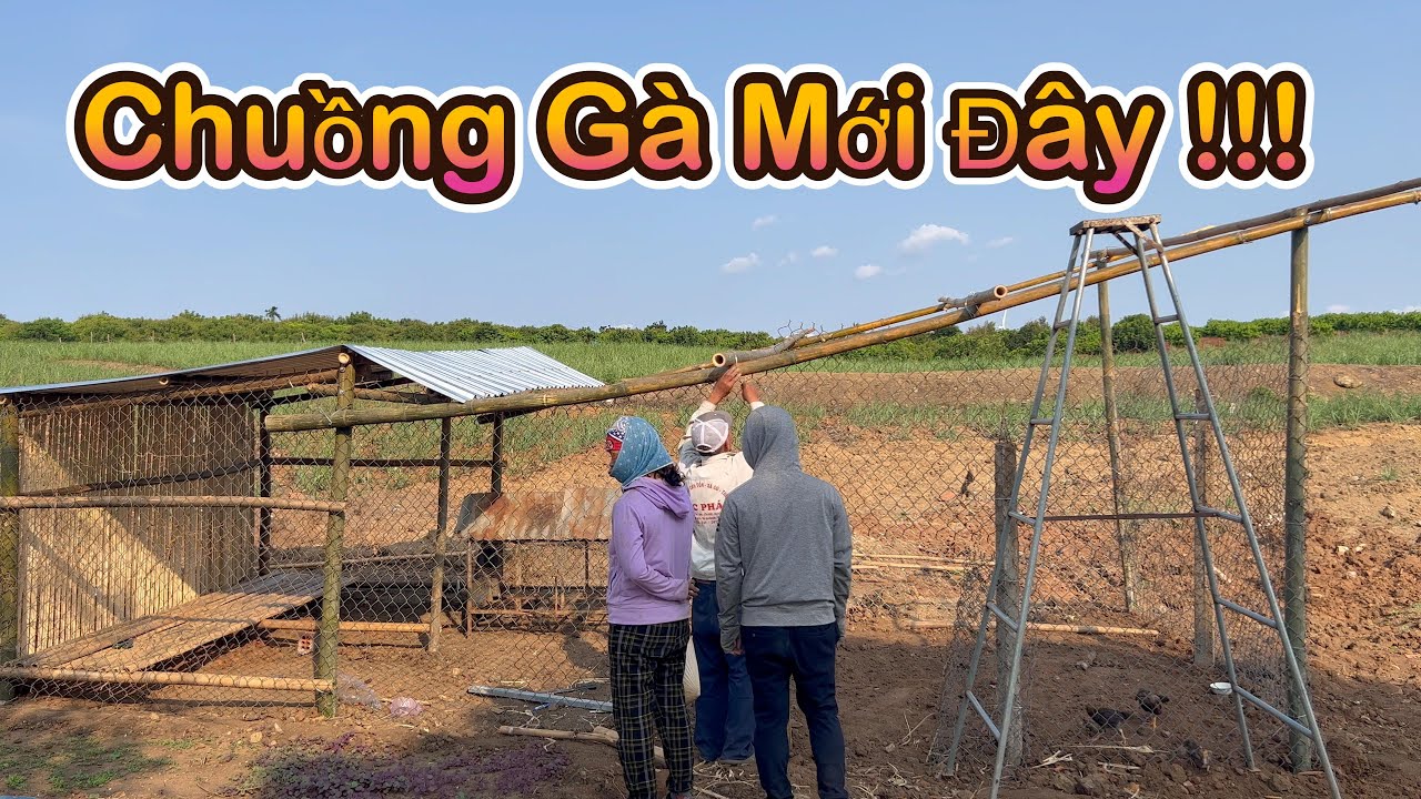 Pin Chùa | Hoàn Thành Xong Chuồng Gà Làm Bằng Tre