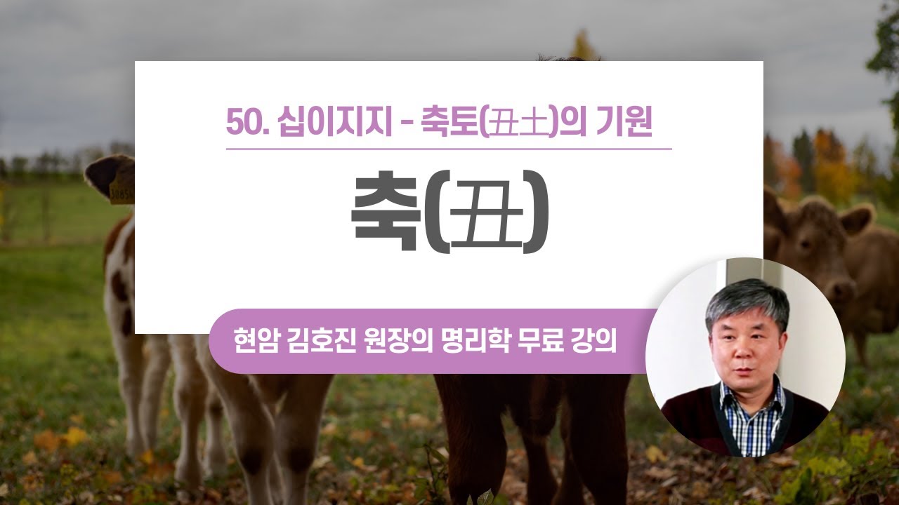 사주에 축토(丑土)가 있으면 어떨까? 십이지지 축(丑)