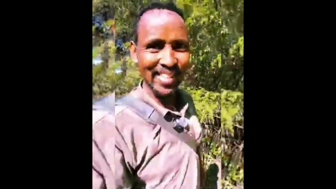 Sheekadii libaaxa