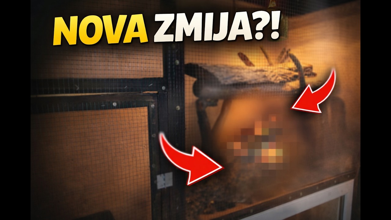 Ovo nisam planirao nabaviti… ali sada je kod mene