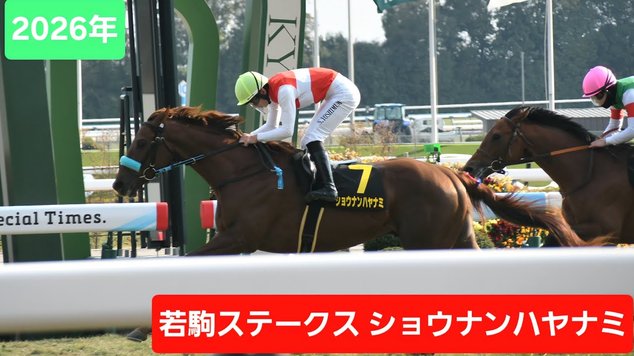 【現地映像】2026年若駒ステークス（L）優勝馬ショウナンハヤナミ号