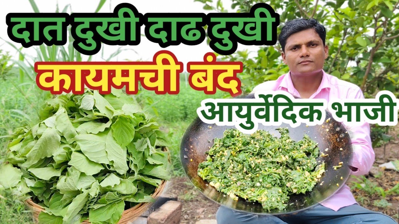 फक्त एकदा खाऊन पहा पाचक,हाडे मजबूत करणारी अद्भुत रानभाजी, या भाजीने जीवन बदलून जाईल | Aghada bhaji