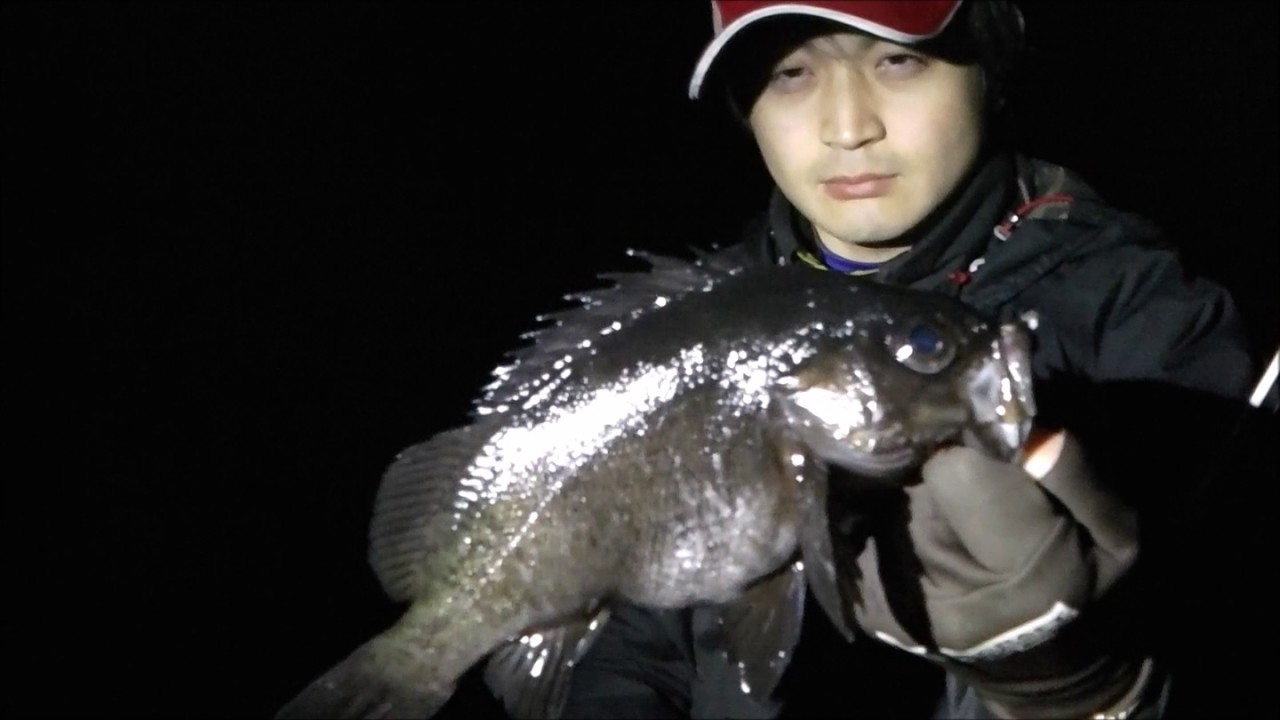 釣具のイヴ：大分県の地磯でメバリング　2017 03 04