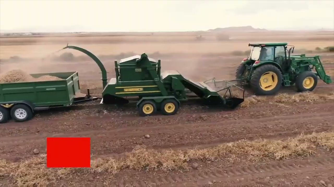 Verdevalle comprará frijol duranguense; SAGDR busca sumar más empresas