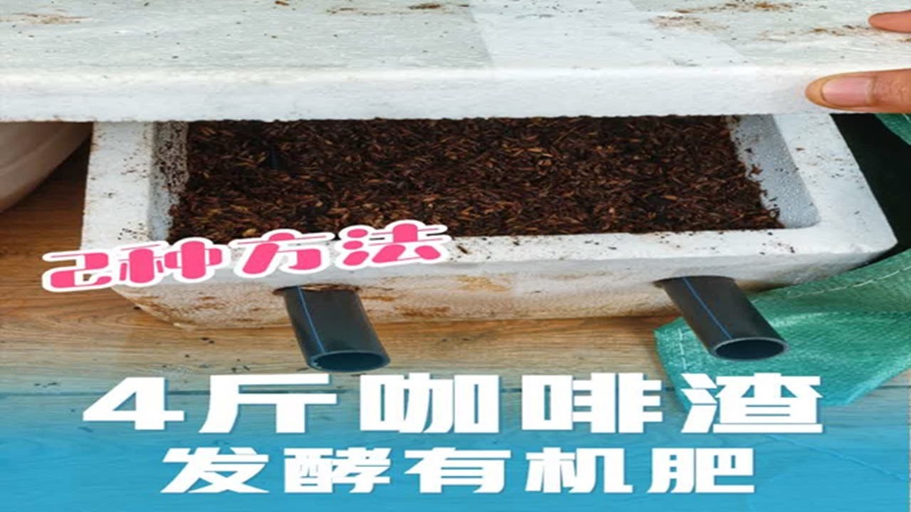 4斤咖啡渣发酵有机肥，有氧无氧2种方面 #发酵有机肥 #家庭发酵有机肥 #有机肥发酵 #EM菌发酵 #发酵鸡粪