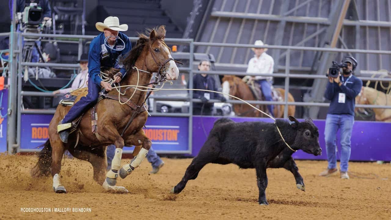 Came to jaripeo in Birmingham AL