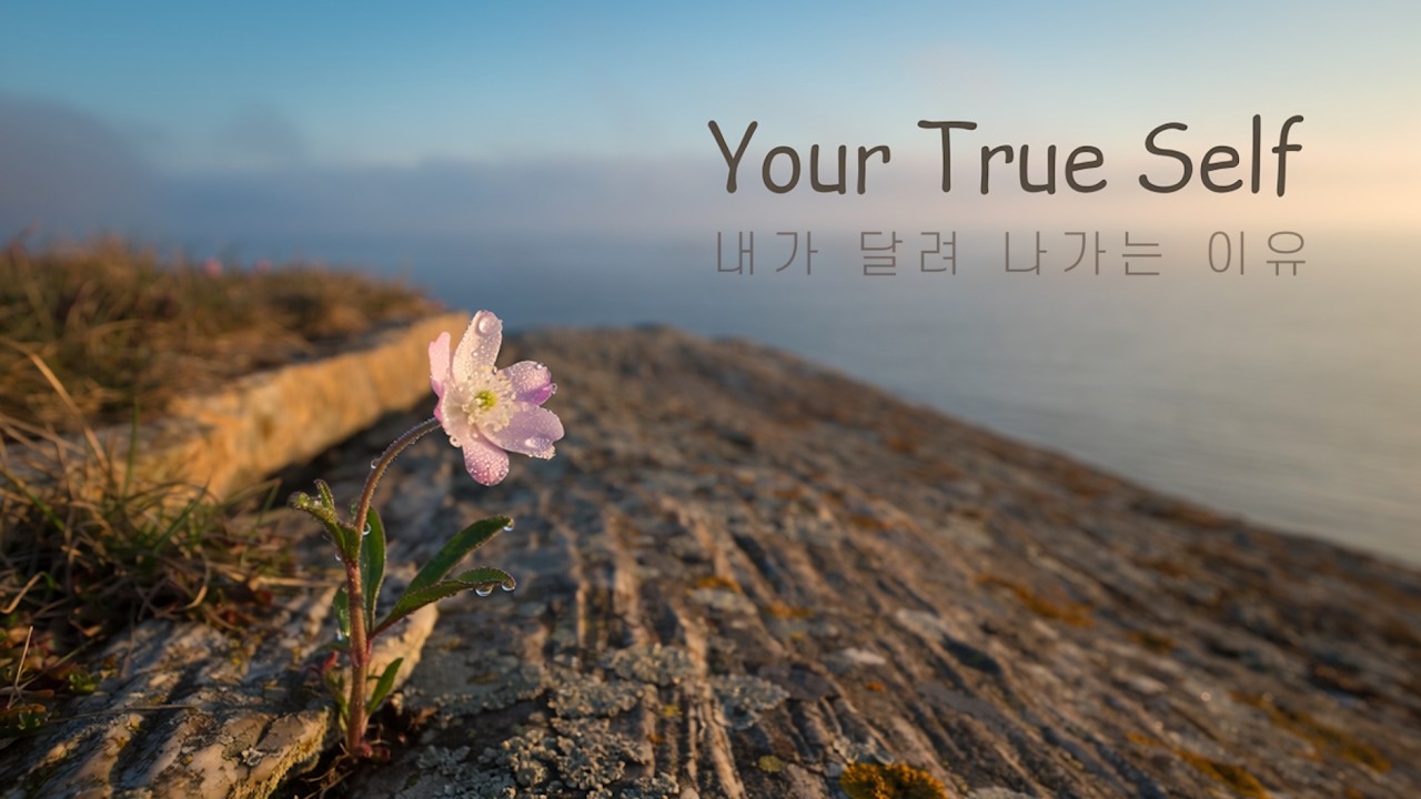 🌅최선을 다한 당신의 모습은 눈부십니다🕊️ 🍃봄날의 위로와 동기부여 음악🎧 | 🌿위로·치유·수면·회복·휴식✨ #AcousticPop #힐링음악 #공부할때듣는음악