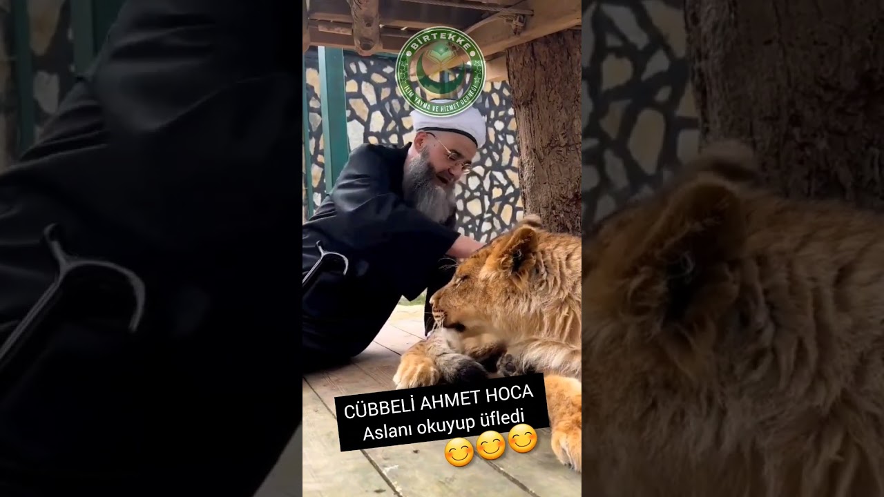 ASLANI OKUYUP &Uuml;FLEYEN    HOCAYA C&Uuml;BBELİ AHMET HOCA DERLER