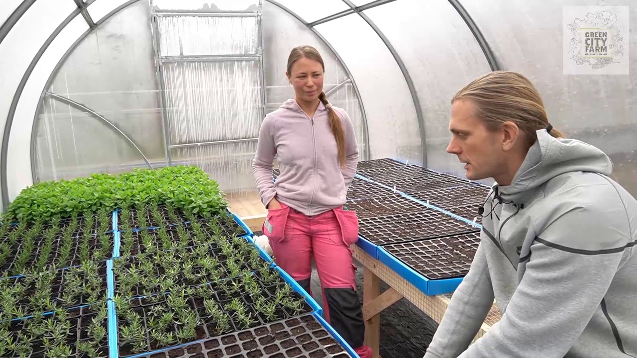 Kestävä gastronomia Perho Liiketalousopiston Green City Farmilla