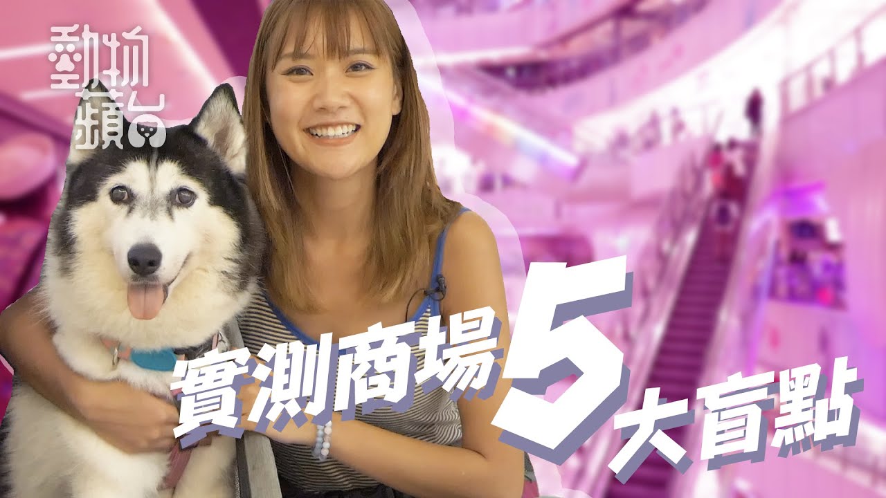 狗商場實測—狗仔禁區多餐廳廁所唔入得 女狗主：唔畀大狗落地唔通抱住行全程？ （果籽 Apple daily）