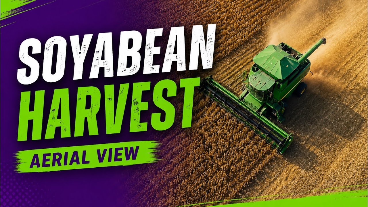Soyabean Harvesting Drone Shot Video | A farm in Canada