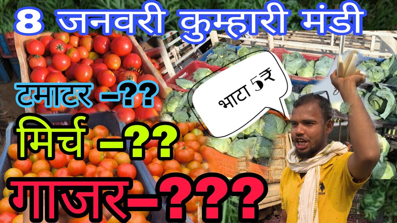 Tamatar me aayi giravat 🍅🍅🍅✔️✔️😱😱#kumhari mandi #sabji #dailyvlogs #villagelife #villagemarket 