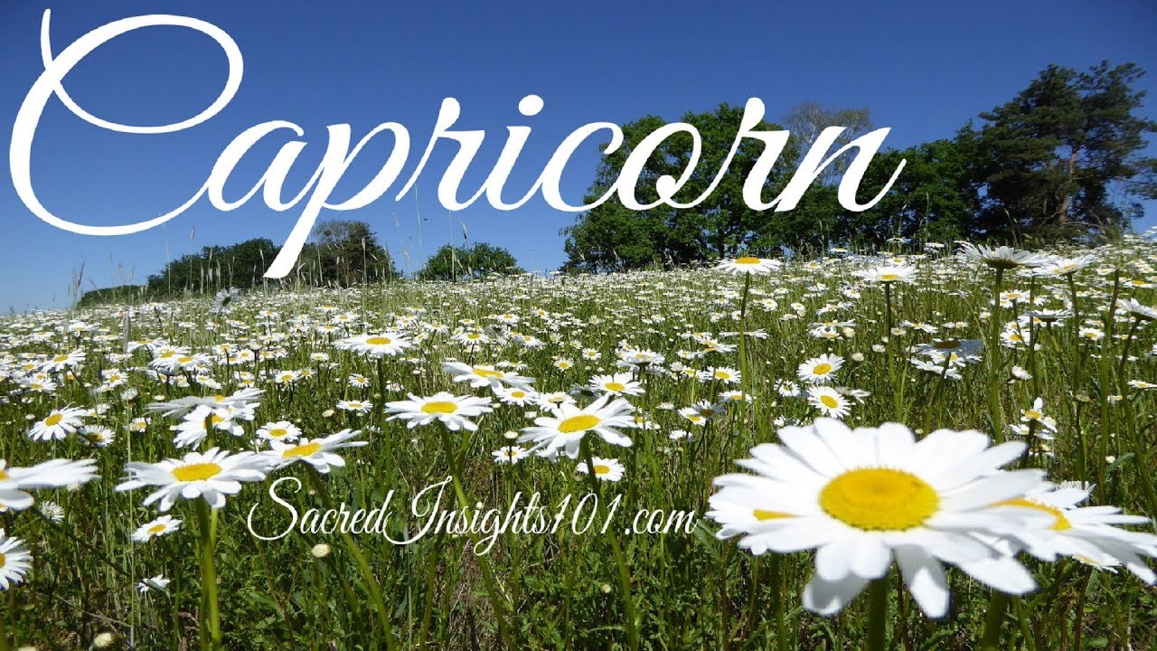 Capricorn June 2019 - Something Very Good is About to Happen