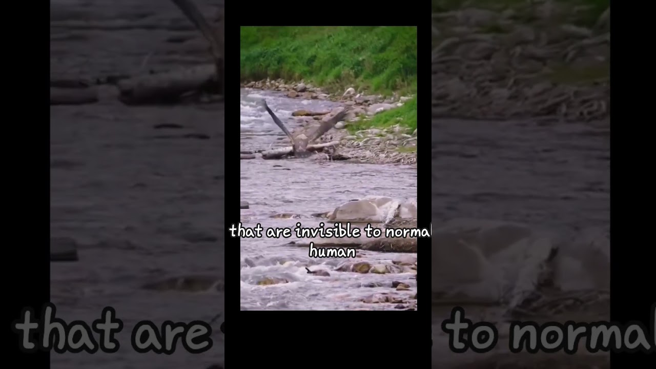 what if you got eagle vision?#eagle #vision  #whatif #factshorts