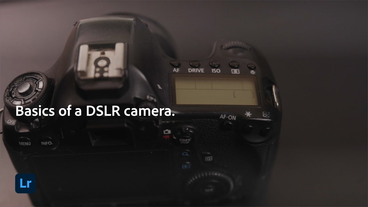 Basics of a DSLR Camera | Adobe Photography Basics