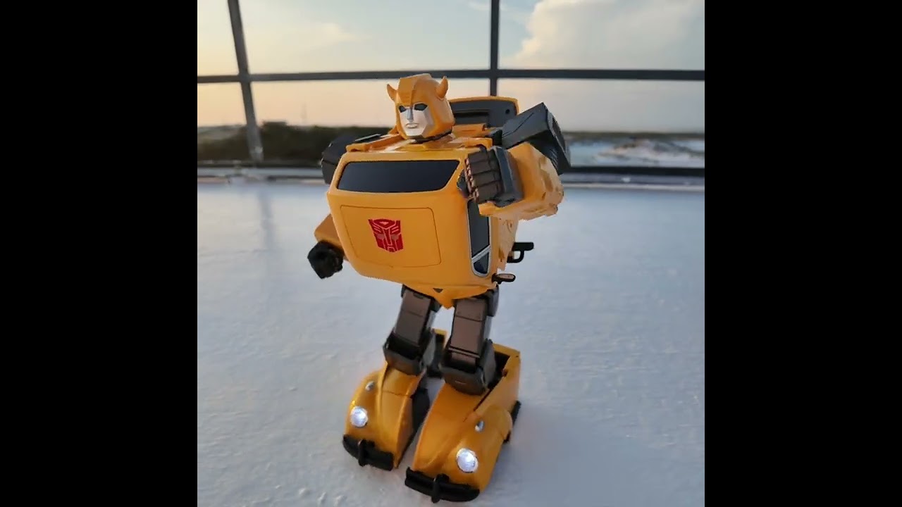 Bumbblebee the early morning riser