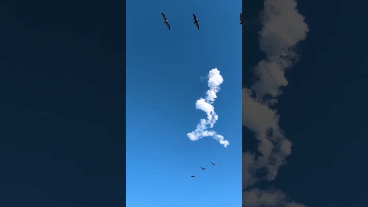 SpaceX Starship Flight 7 from Isla Blanca Park