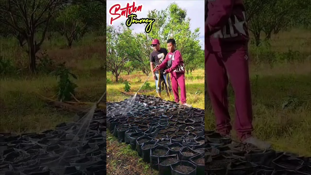 Bertani dapat menjadi strategi menghadapi resesi Ekonomi #berbuatbaik