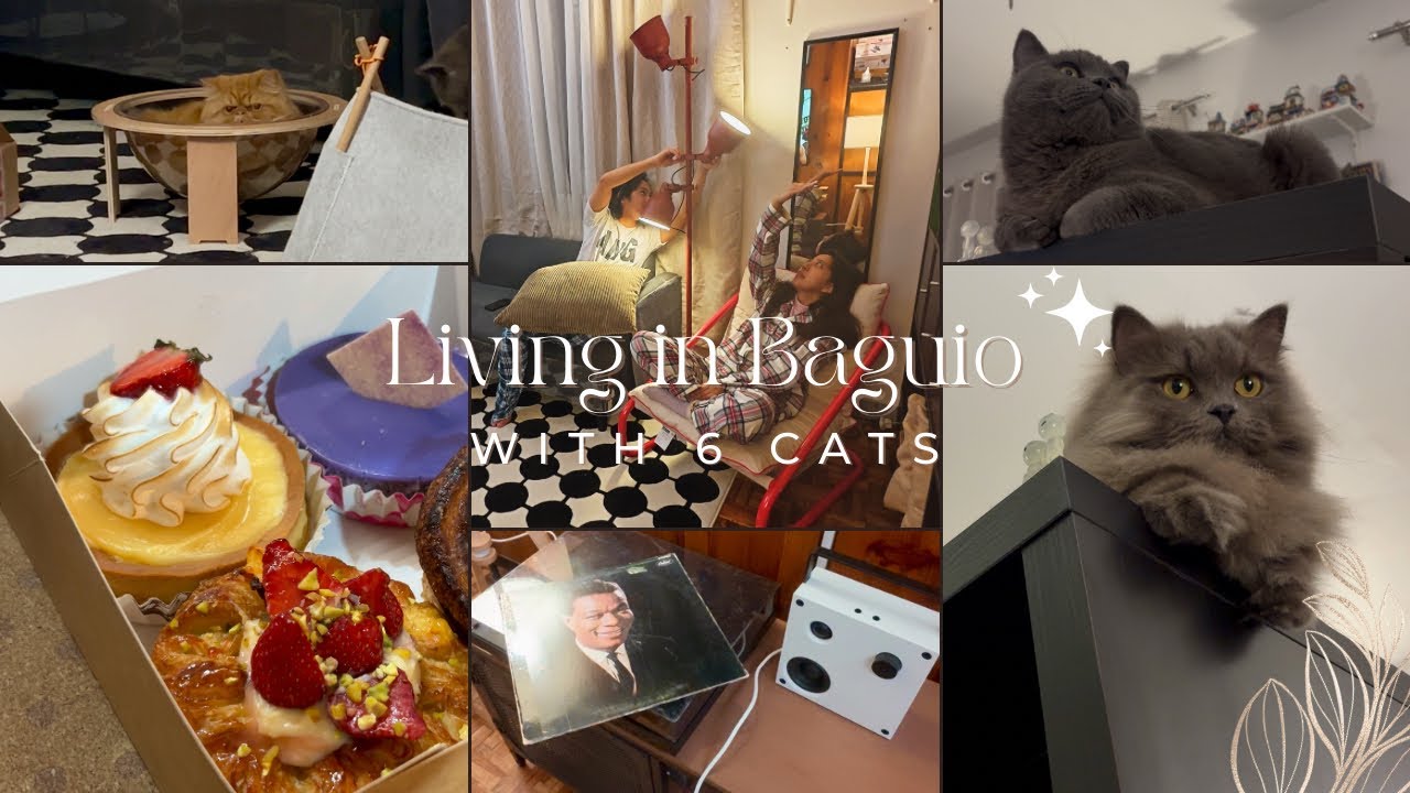 Cozy Vlog | Cats | Pastries | IKEA Haul | 