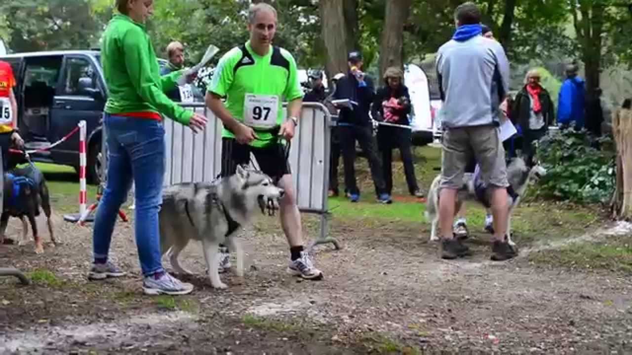Hundesport: Arion Cup 2014