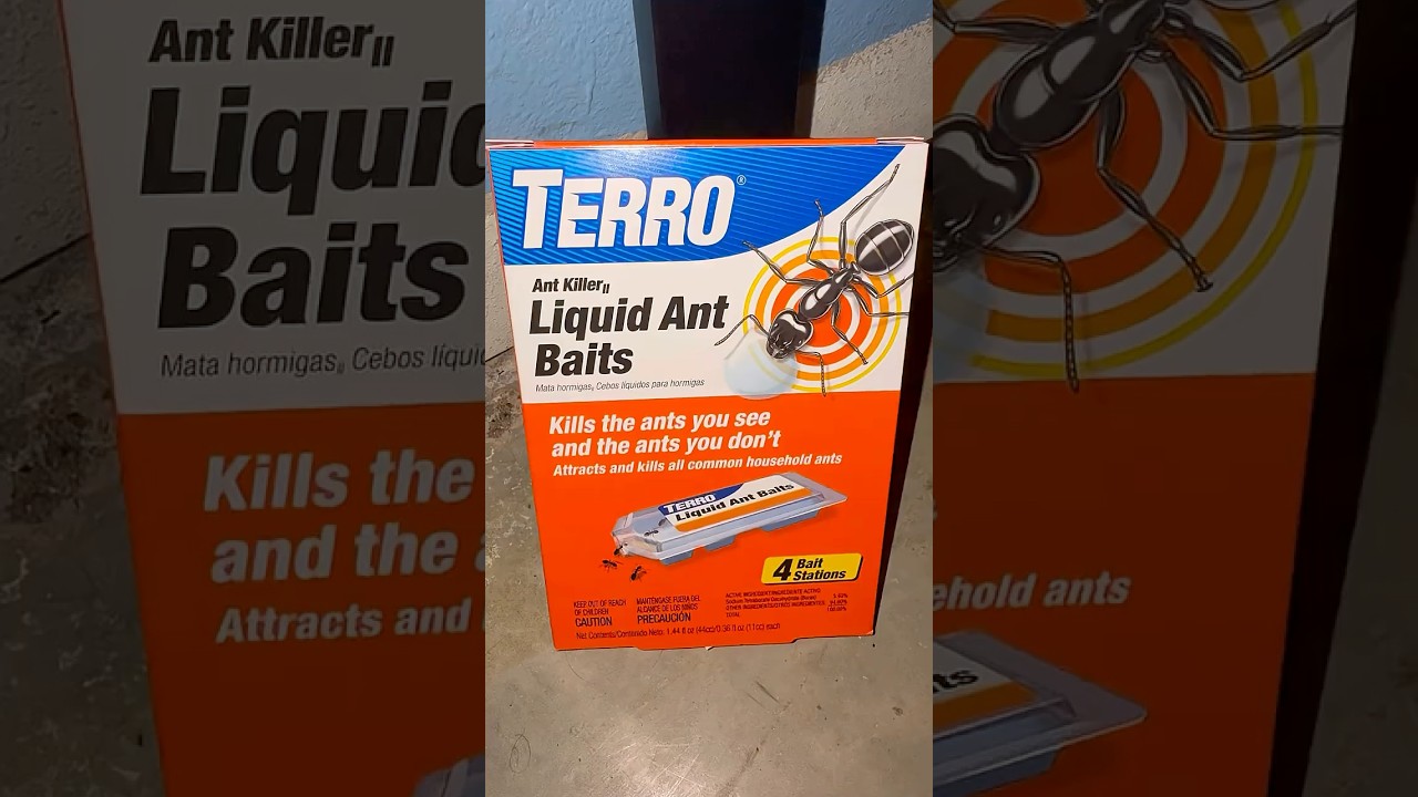 Does this ant bait work? Best ant bait. Terro liquid Ant Bait ￼￼#ants #terro