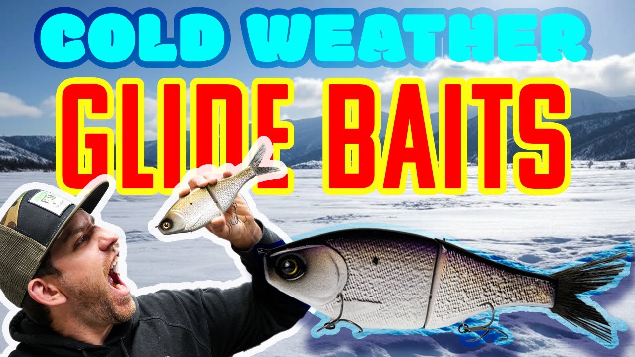 Glide Baits In Cold Water (Theories & Technical Breakdown)