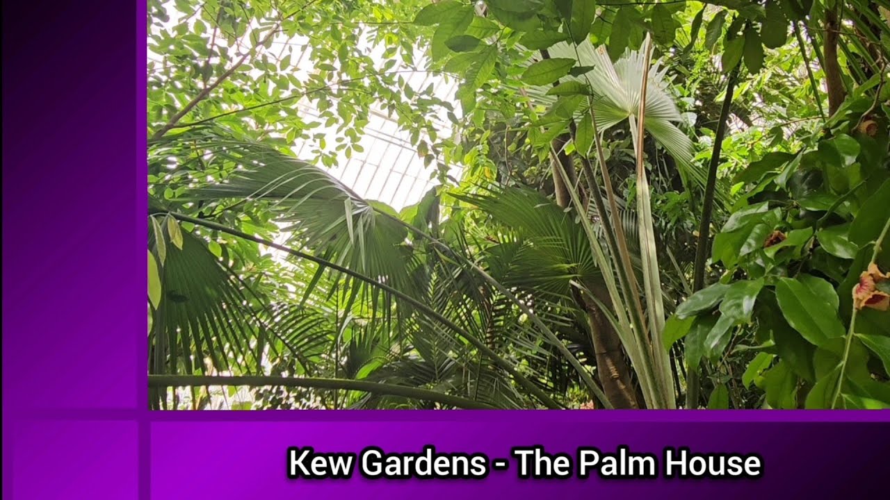 Kew Gardens- The Palm House