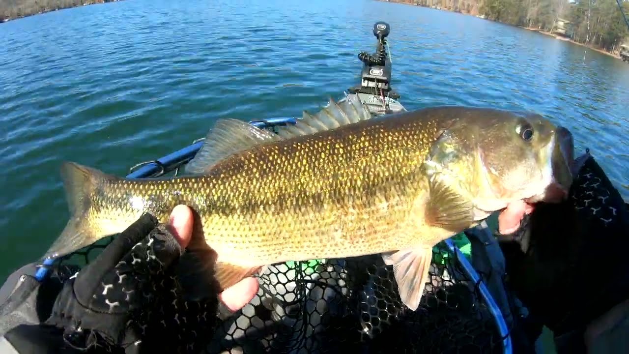 Winter Big Bass Lesson in NE Georgia