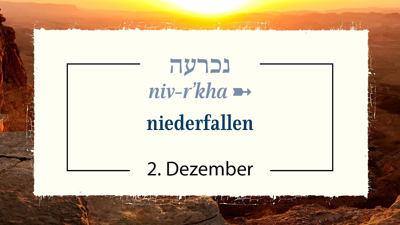 02.12 Was haben Kamele mit Anbetung zu tun? | Adventskalender