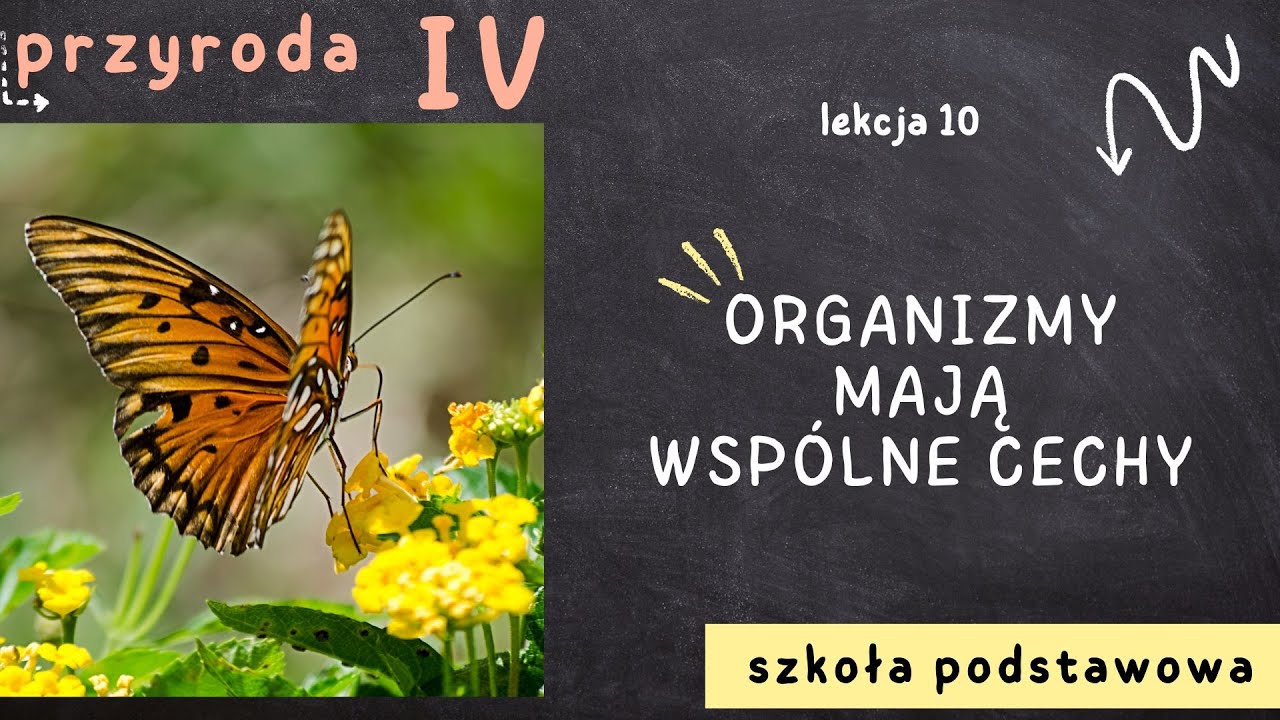 Przyroda klasa 4 [Lekcja 10 - Organizmy mają wsp&oacute;lne cechy]