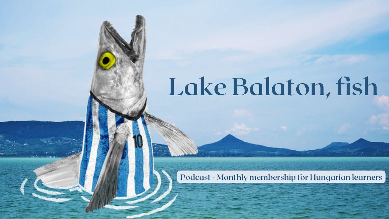 #50 Balaton, halak - Balaton, fish - B2