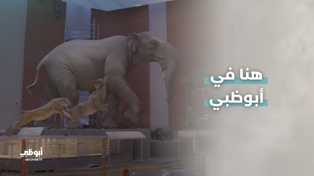 متحف التاريخ الطبيعي أبوظبي