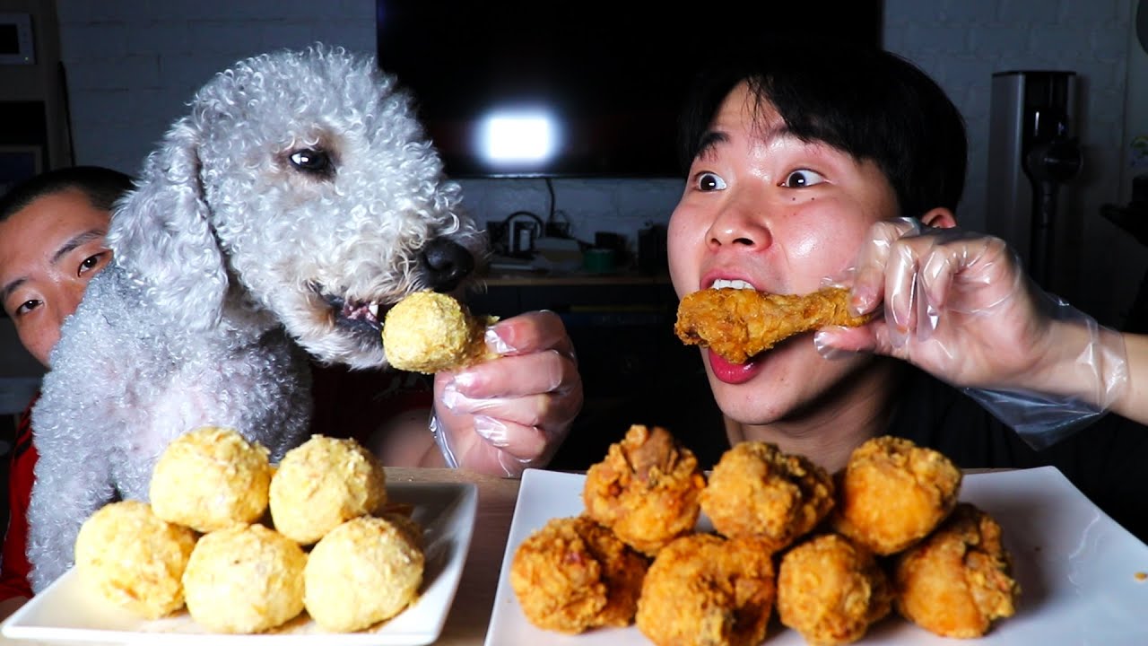 우리집 강아지 조지랑 치킨 닭다리 먹방 ❤️ASMR ㅣDog Eating Show Chicken 🔥